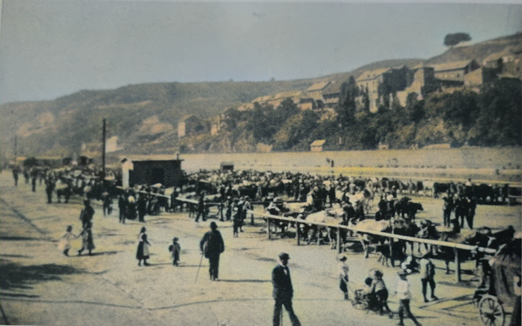 Viehmarkttag auf dem Marktplatz am Nahekai (heute Stefan-George-Straße) um 1910
