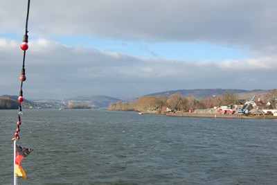 Schiffsexkursion entlang des Europareservates Rheinauen