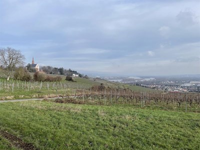 Rochusberg entdecken: Genuss, Aussicht und auf den Spuren Hildegard von Bingen