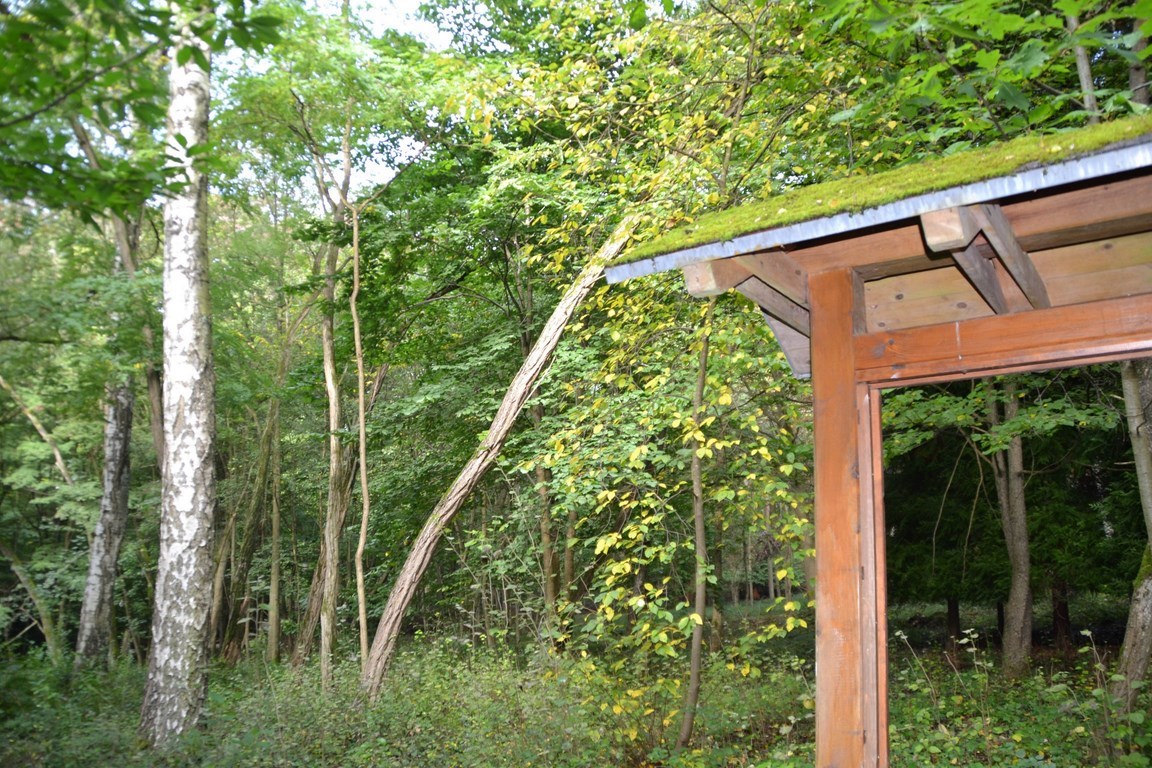 45+ schön Sammlung Forstbotanischer Garten