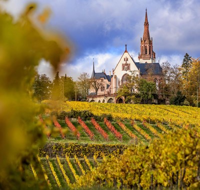 Rochusberg Rochuskapelle aus den Weinreben heraus 1, Quelle Stadt Bingen, Foto Torsten Silz