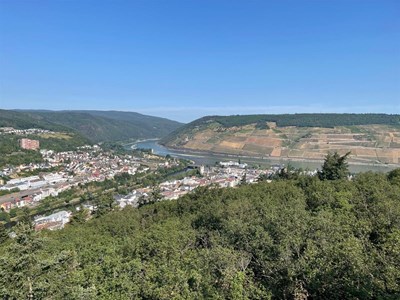 Rochusberg entdecken: Genuss, Aussicht und auf den Spuren Hildegard von Bingen