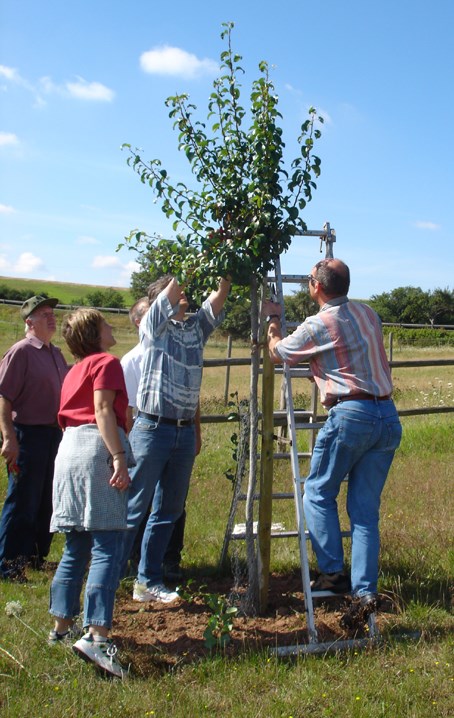 Bürgerinnen und Bürger bei der Obstbaumpflege