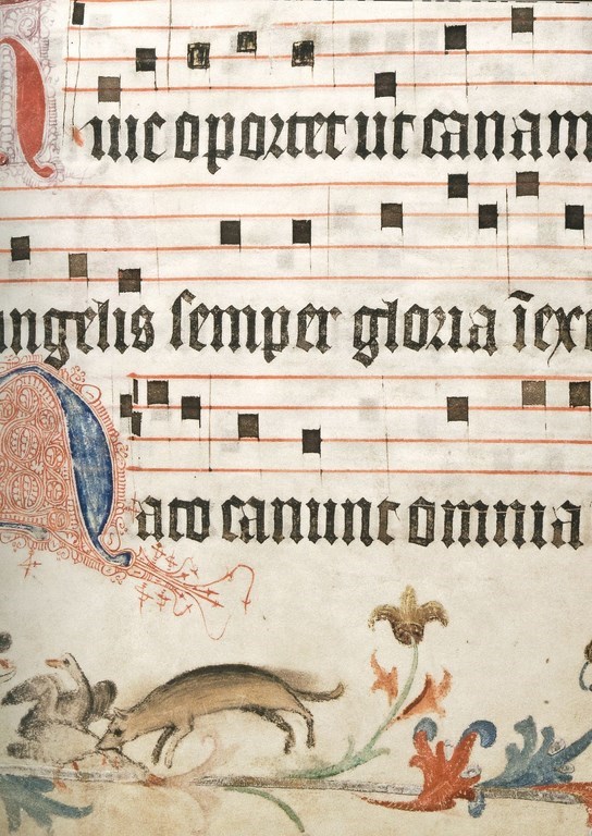Musikpergamente aus der Hildegard-Zeit