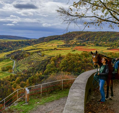 Rochusberg Rondell mit Pferd herausgezoomt, Quelle Stadt Bingen, Foto Torsten Silz