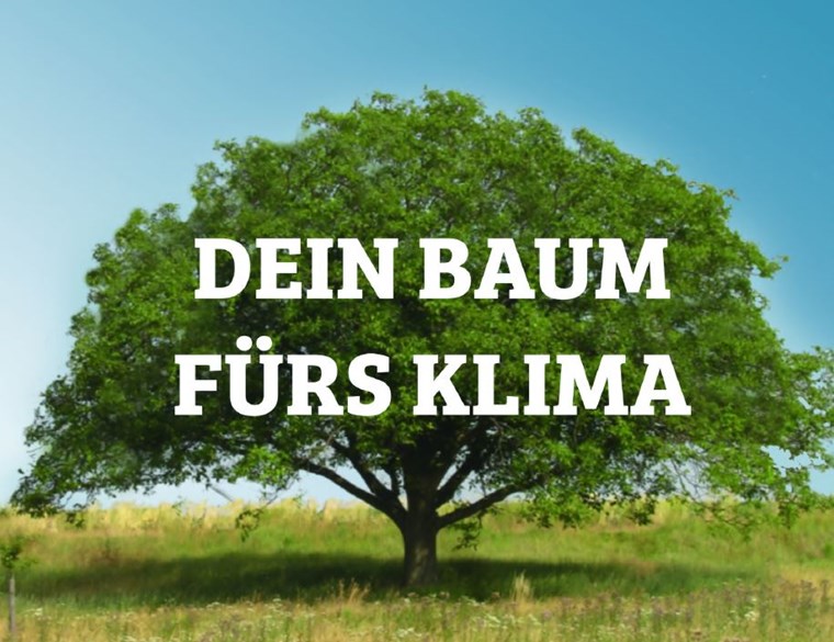 Dein Baum fürs Klima 2021