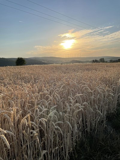 Digitalisierung in der Landwirtschaft bietet Chancen, aber auch Risiken, die man in den Griff bekommen kann.